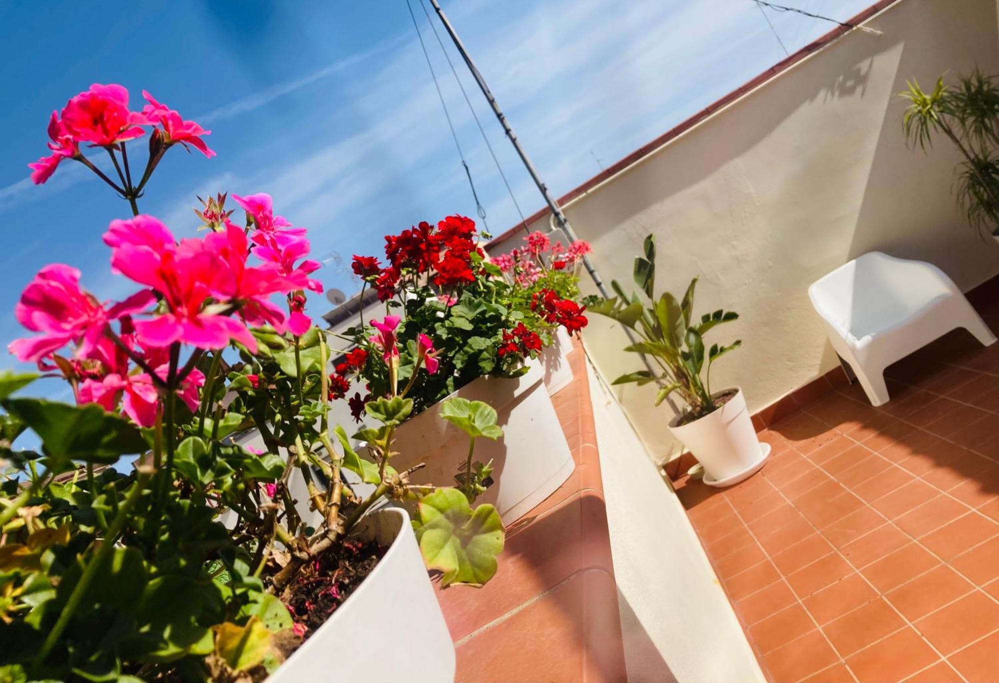 Lavica Di Mezzo Apartments Catania Exterior foto
